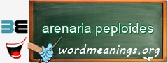 WordMeaning blackboard for arenaria peploides